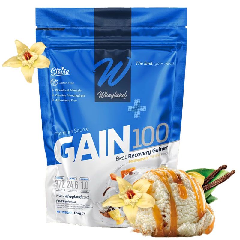 Wheyland Gain 100 Madagascar Vanilla 3 kg